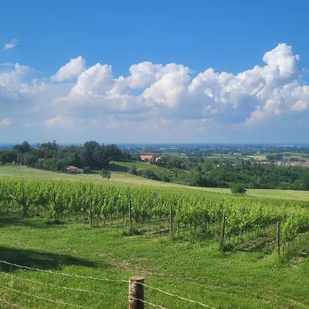 Bella Vista Wine * Zola Predosa