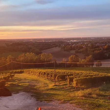Apartman Bella Vista Wine Zola Predosa