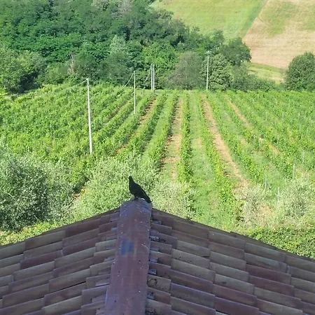 Bella Vista Wine شقة