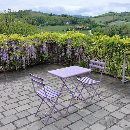 Bella Vista Wine