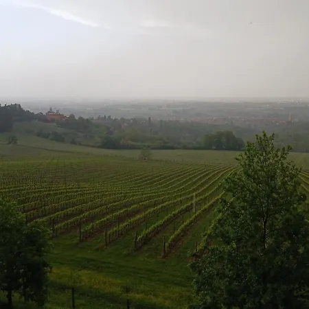 شقة Bella Vista Wine زولا بريدوسا