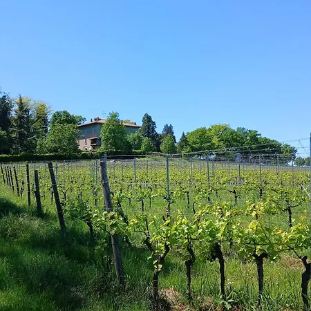 Bella Vista Wine
