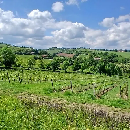 Apartman Bella Vista Wine